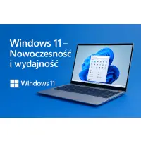 Windows 11